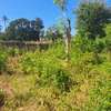 Mtwapa 1/4 acre plot thumb 5