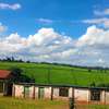 117 ac Land at Ngorongo Area thumb 4