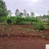 0.5 ac Residential Land at Muthaiga North thumb 5
