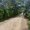 5 ac Land at Burguret thumb 2