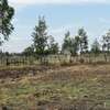 Prime 1/4 Acre Plots For Sale In Kitengela thumb 0