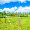 PRIME PLOTS FOR SALE IN A LUSINGETTI GATED COMMUNITY CONCEPT thumb 2