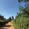 Prime Residential plot for sale in kikuyu, Gikambura thumb 4
