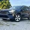 Toyota Rav4 Black 2018 thumb 11