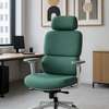 Office Chair: Robbins High Back Orthopedic Office Chair thumb 0