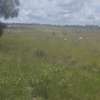 10 ac Land in Athi River thumb 3