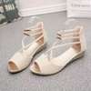 Ladies Sandals  sizes from 36-40 thumb 1