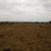200 Acres of Land For Sale in Isinya thumb 5