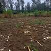 40*80ft plots for sale at Makuyu near Makuyu Teachers c thumb 6