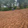 Matuu 50*100 plots thumb 3