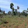 4,600 ft² Residential Land at Mugumoini thumb 2