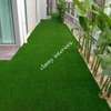 Beautiful grass carpets (:-:-:-) thumb 1