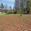 0.05 ha Residential Land at Kikuyu Kamangu thumb 8