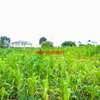 0.06 ha Residential Land at Kamangu thumb 6