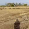 Kamulu One acre for sale thumb 0
