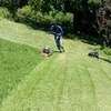 Bestcare Landscaping & Gardening Services in Karen,Runda thumb 5