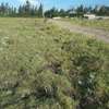 Lovely One Eighth Plots in Ongata Rongai thumb 2