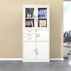 Glass & Metal Door File Cabinet – Steel Construction thumb 3