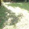 2.47 ft² Commercial Land at Ngong Rd thumb 2