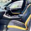 2019 LEXUS NX300 thumb 10