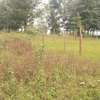 500 m² Residential Land in Ngong thumb 4