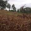 40X80ft PLOTS FOR SALE AT KABATI ZABKA IN MURANGA COUNTY thumb 7