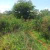 30 Acres of Virgin Land In Makindu Are For Sale thumb 2