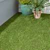 pretty grass carpets thumb 0