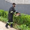 Bestcare Domestic Workers Agency ; Nannies | Gardeners | Babysitters | Domestic Help | Cleaning & Domestic Services thumb 2