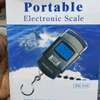 Portable electronic scale thumb 1