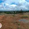 500 ac Residential Land at Lussingetti thumb 2
