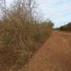 100 ac Commercial Land at Lungalunga thumb 6