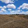 Prime Plots For Sale in Kitengela Empakasi thumb 1