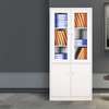 Steel & Glass Door Office Cabinet thumb 3