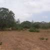 12 Acres For Sale At Kaembeni In Malindi thumb 5