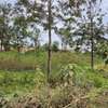 Plot For Sale - Matasia thumb 3