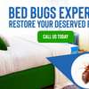 BED Bug fumigation TRM,Alsops,Muthaiga,Gigiri,Runda,Gachie thumb 2