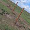 50*100 prime plots for sale in Ruiru East; Mwalimu Farm thumb 1