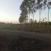 RUIRU EAST MWALIMU FARM LAND FOR SALE thumb 11