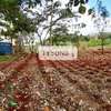 Commercial Land in Kasarani thumb 1