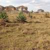 0.25 ac residential land for sale in Katani thumb 5