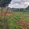 Prime 70 by 100 ft plot for lease in Gikambura Kikuyu thumb 1