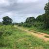 Residential Land in Vipingo thumb 10