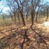 64 acres along Makindu-Wote Road Makueni County thumb 8