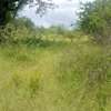100 Acres Available for Sale in Mutomo Kitui County thumb 3