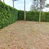 Beautiful one eighth plots in Ngong thumb 2