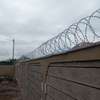 Green razor wire supplier and installer in kenya thumb 1