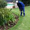 Gardening Services Nairobi,Nakuru Mombasa Thika thumb 8