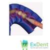 DENTAL ACRYTEMP FOR SALE PRICES NAIROBI,KENYA thumb 5