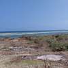4.5 ac Land at Paparemo thumb 2